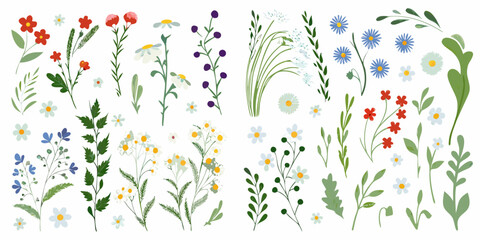 Fototapeta premium Collection of colorful wildflowers and botanical illustrations on a white background