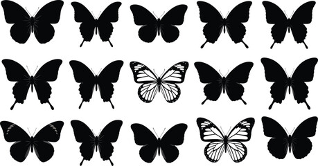 Collection of butterfly silhouettes and two detailed butterfly illustrations insect black © Ashraful
