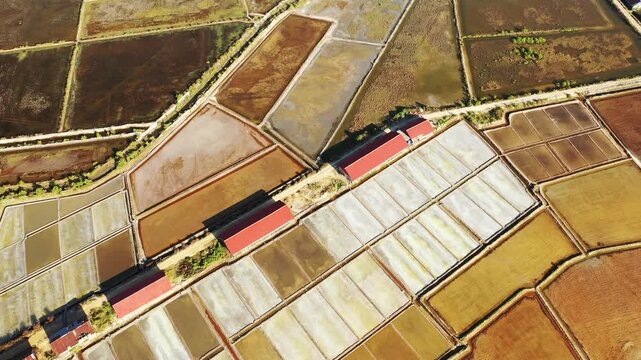 Drone shot of geometric salt evaporation ponds in Kampot, Cambodia, showcasing vibrant patterns and colors. Traditional salt production landscape with clear divisions and rural structures.
