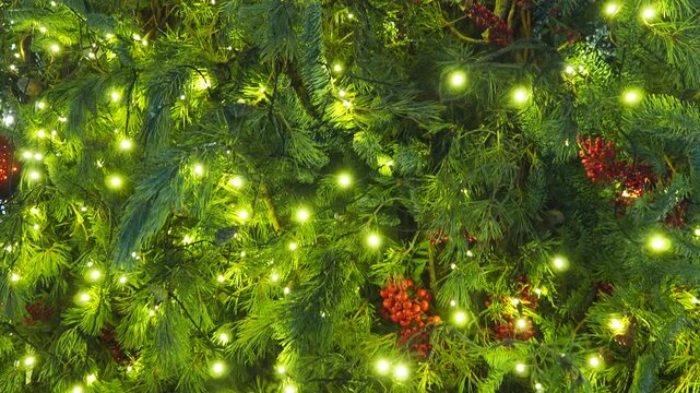 Bright lights twinkle among vibrant spruce branches as outdoor spaces transform into magical winter scenes. Discover the joy of Christmas decorations that bring warmth and cheer