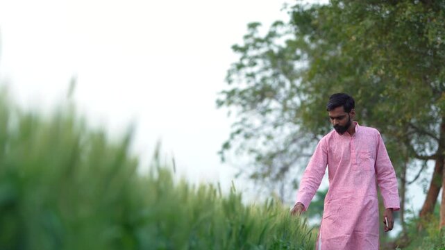 Young indian farmer standing at wheat agriculture field	