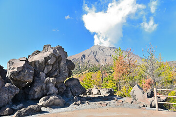 ライオン岩と桜島 有村溶岩展望所の風景  鹿児島県鹿児島市