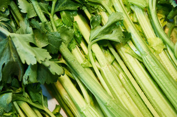 Fresh green celery stalks creating healthy food background