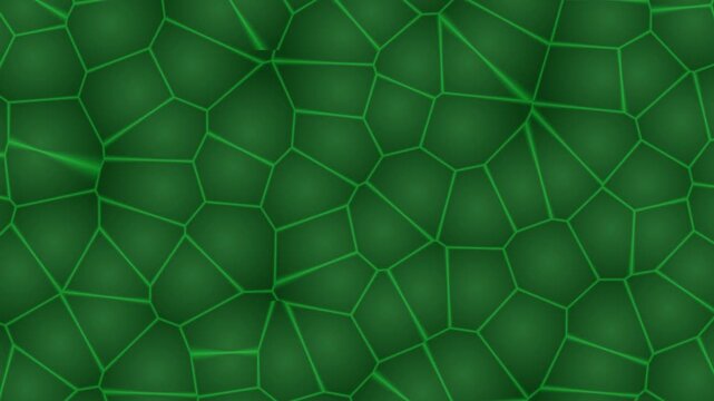 Abstract Green Voronoi Pattern Background Loop.