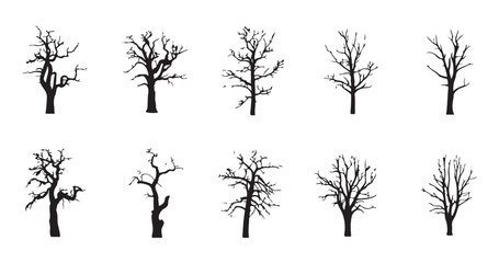 Obraz premium set of ten bare trees silhouettes, vector collection of black leafless tree shapes on white background