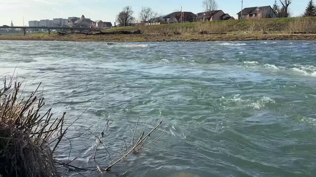 Wide view of a fast flowing river with city buildings and a bridge in the background. Spring landscape in Mukachevo.