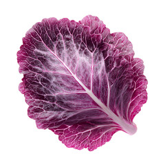 Obraz premium Fresh purple cabbage half cut close-up with vibrant leaf texture on white background