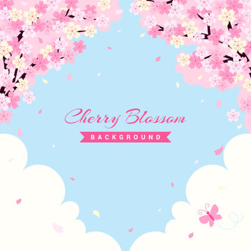 Cherry Blossoms frame background vector illustration. Pink Sakura flower against a blue sky