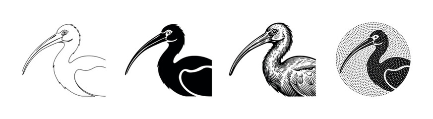 Fototapeta premium Ibis bird illustrations showcasing different artistic styles like outline, solid silhouette, engraved, and halftone dot.
