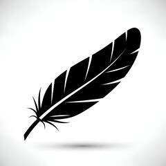 Obraz premium Black Feather Icon