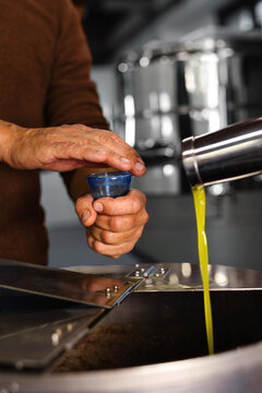 Oleario expert olive mill warms tasting glass extra virgin oil, sampling production pressing facility traditional artisan evo manufacturing