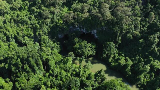 Drone shot of the lush green jungle surrounding the entrance to Konglor Cave with a river flowing into the cave, located in Laos.