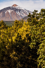 Fototapeta premium Paisaje con el pico del Teide y nubes en la isla de Tenerife