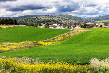 Lush cumulus clouds. © Kushnirov Avraham