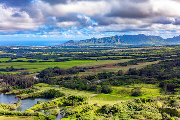 Fototapeta premium The tropical island of Kauai