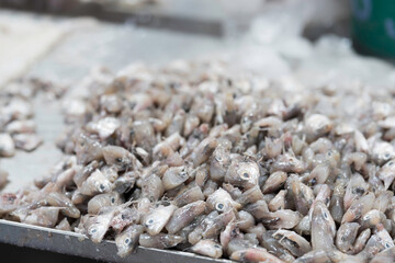 Canned fish factory, seafood manufacturing and processing. Pile of frozen fresh sea fish on ice. Workplace of workers for cleaning, washing, scrape off fish scales and cut open the belly to clean © amorn