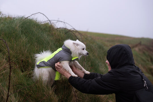 A young man rescues his dog, who got lost during a walk in the mountains, dog and owner are tired, wet from the rain, but happy to be together again