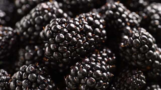 Single blackberry falling onto pile of ripe berries in slow motion. Macro fresh organic fruit concept for yogurt, smoothie, dessert, summer nutrition, vitamins and healthy lifestyle. 4K footage.
