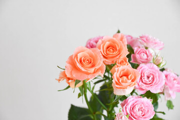 オレンジとピンクのばら