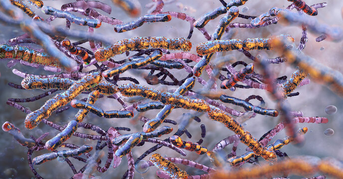 Filamentous Anabaena or Nostoc cyanobacteria chains, microscopic 3D render. Nitrogen fixation and blue-green algae cellular structure. Environmental science, ecology studies of water eutrophication	