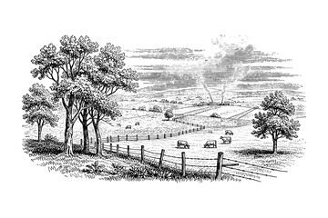 Detailed black and white landscape with trees and cows in a pastoral setting