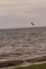 에메랄드빛 바다 위에서 시원하게 바람을 가르며 카이트 서핑을 즐기는 역동적인 해양 스포츠 풍경
