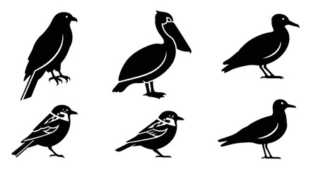 Naklejka premium Diverse Bird Silhouettes Set: Black and White Avian Icons Collection