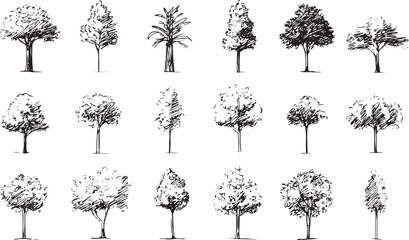Collection of hand drawn black and white trees nature © miht3325
