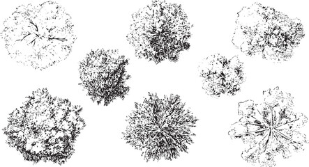 Black and white down view of various trees overhead view © miht3325