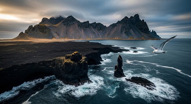 Dramatic Icelandic coast with Vestrahorn mountain, black sand beach, and soaring seagull.
