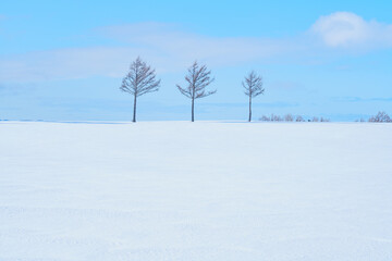 北海道大空町　冬のメルヘンの丘　冬の絶景旅行