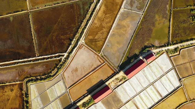 Drone shot of geometric salt evaporation ponds in Kampot, Cambodia, showing colorful patterns and textures. The landscape features a patchwork of salt pans separated by narrow paths.