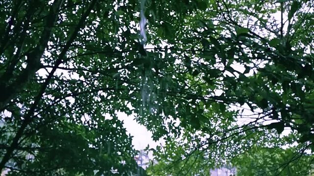 rain on the window n Biak-Papua