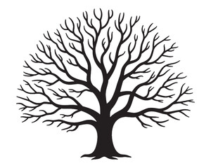 Obraz premium Silhouette of a bare deciduous tree with intricate branches isolated on transparent background