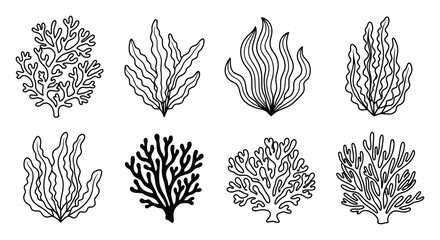Collection of Hand-Drawn Seaweed and Coral
