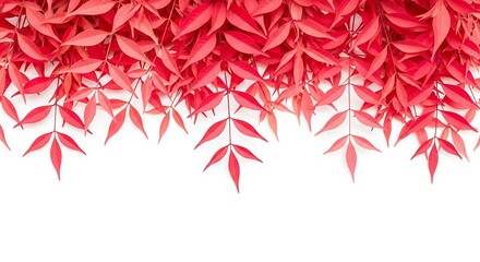 Beautiful red leaves cascading down on white background creating a serene atmosphere