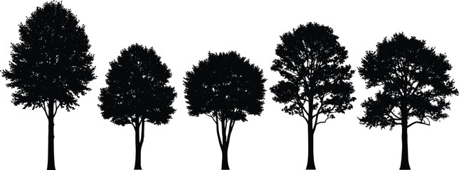 Fototapeta premium Black tree silhouettes set isolated on white background for architectural cad drawing flat vector illustration landscape design projects and urban planning