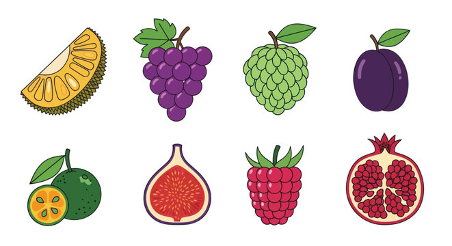 Assorted colorful fruits illustration