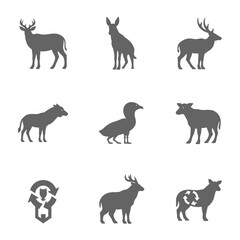 Fototapeta premium A collection of gray animal silhouettes on a white background
