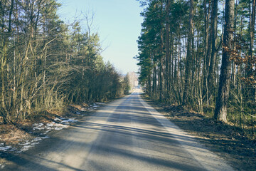 leśna droga,las © Marcin Łazarczyk