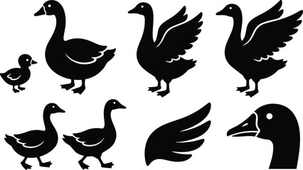 Obraz premium Minimalist vector art goose family set showing adult geese and gosling in various poses wings up walking close up head profile and wing icon silhouette black