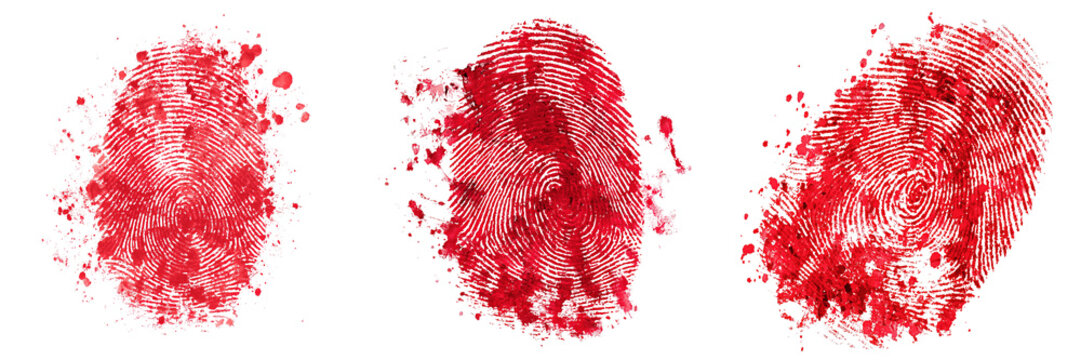 Criminal evidence analysis bloodied fingerprints in forensic science