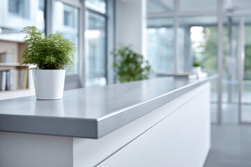 Modern Office Counter with Green Plant for a Calm Workspace Aesthetic