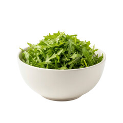 Bowl of fresh arugula salad