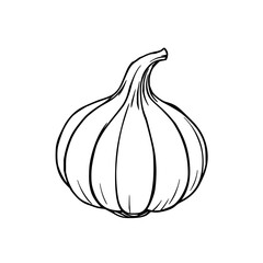 Silhouette compact garlic bulb with crisp clove segments and twisted stem tip, ideal for organic food recipes and kitchen design