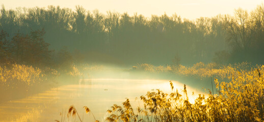 The Edge Lake The Light