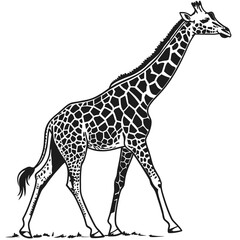 Naklejka premium giraffe vector illustration