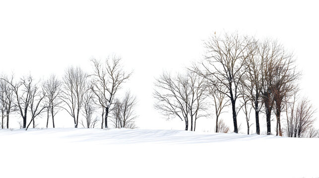 Winter landscape featuring bare trees and snow, seasonal holiday atmosphere, isolated on white background