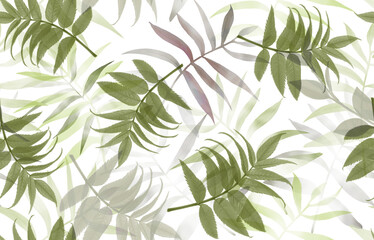 Fototapeta premium green leaves background
