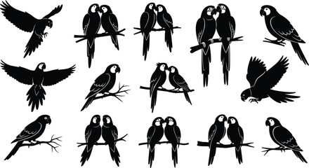 Macaw parrot silhouette set with tropical birds flying and perched on branches for wildlife nature jungle animal design element isolated on white background. © MDMUNTASSER